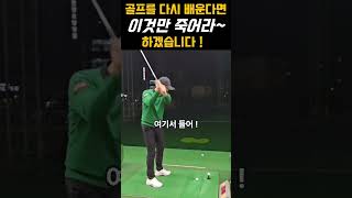 [노턴스윙]골프를 다시 배운다면 이것만 죽어라 하겠습니다