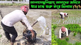 আলহামদুলিল্লাহ্ ধান চাষের মৌসুম চলে আসলো তাই জমিতে ধান চাষ শুরু করে দিলাম।🌾🌾🌾