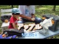 二宮梨園　梨狩り　愛媛県大洲市上須戒