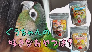 【ウロコインコ】どのおやつが好き？