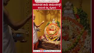 ನಾಡದೇವತೆ ತಾಯಿ ಶ್ರೀ ಚಾಮುಂಡೇಶ್ವರಿ ದೇವಿ🙏 #chamundeshwari #chamundibetta #ytshorts #devotional