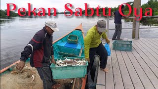 Ikan Segar Baru Sampai || Pekan Sabtu Oya, Sarawak 2025