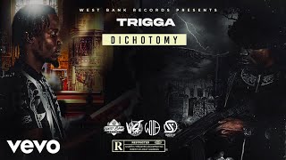 Trigga - Anything You Want (Audio)