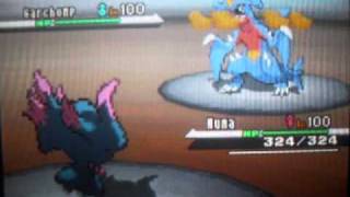 Pokemon B/W Wifi Battle #5 vs. Raging Delibird