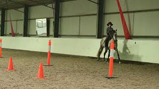 Louise and Dione practicing piaffe canter transitions and stuff.