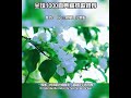 千万别听的超感人神曲！听到快滑走，不然你会疯狂！ music relaxingmusic foryoupage tiktokmusic youtube youtubemusic