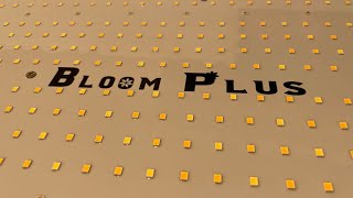 Bloom Plus BP2500 review - good budget grow light.