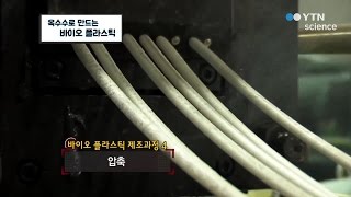 옥수수로 만드는 바이오 플라스틱 / YTN 사이언스