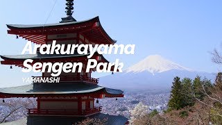 Arakurayama Sengen Park,Yamanashi | Japan Travel Guide