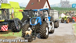 Feeding Bulls \u0026 Cows, Baling Straw, Finishing Harvesting Wheat│Pallegney│FS 22│Timelapse#10