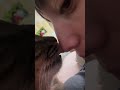 キスしたらキスし返す猫