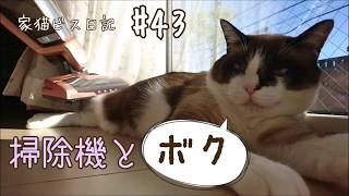 【おもしろい猫】掃除機に吸われる猫 #43～マッサージと思ってる？-【Interesting cat】 Cat sucked by a vacuum cleaner