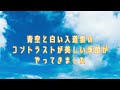 暑中お見舞い申し上げます。夏のご挨拶　夏のグリーティング動画　暑中見舞い2024