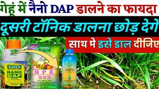 गेहूं में नैनो dap के फायदे|| नैनो dap के साथ क्या मिला कर डाल सकते हैं||Nano DAP . NANO DAP