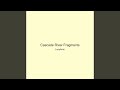Cascade River Fragments