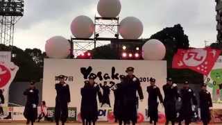 JR九州櫻燕隊〜YOSAKOIさせぼ祭り2014