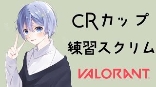 CRカップ練習スクリム vs VanilLaちーむ【VALORANT /白雪レイド ​ じゃすぱー yue 胡桃のあ vdk pepperコーチ】