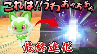 【ポケモンSV】大発狂！ニャオハが最終進化したんだが、これは…!!! 熱い思いと共にベストショットを撮りまくる part9【ポケットモンスタースカーレット VTuber実況#9】