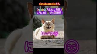 【simabossnekoぺにゃんこの「島ねこ日記」⑤】#shorts#猫#猫島#cat#貓#chat#gato#고양이#にゃっぷる