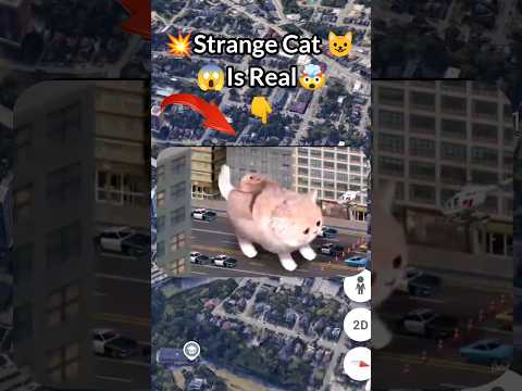 ¡Encontré un gato espeluznante en Google Earth! #shorts #viral #mapa #aterrador #googleearth