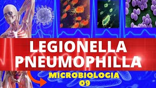 LEGIONELLA PNEUMOPHILLA - MICROBIOLOGIA (BACTÉRIAS PATOGÊNICAS)