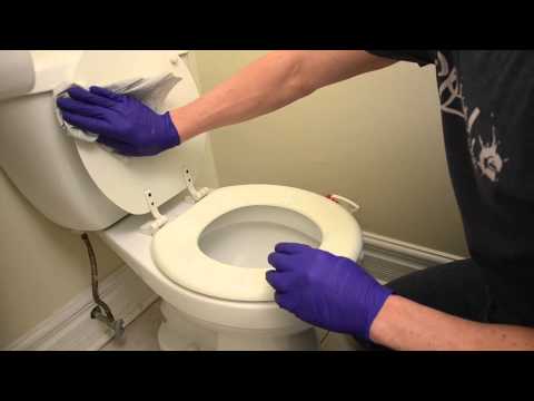 How to Clean a Toilet How to Clean a Toilet