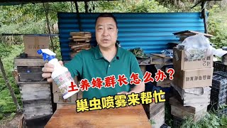 土养蜂群老是喜欢长巢虫，用这款巢虫喷雾剂，只需一喷