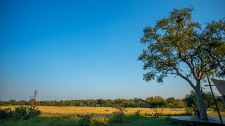 Plains Camp, home of Rhino Walking Safaris, Timelaps