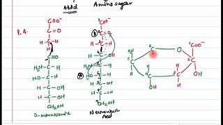 13.  Sugar derivatives (Part 2)