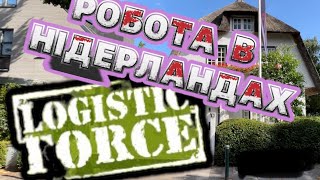 Робота в Нідерландах/безкоштовні ваканції/Logistic Force /Breda, Tilburg. Як українцю знайти роботу!