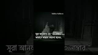 নিশ্চয়ই আল্লাহ সর্বোত্তম পরিকল্পনাকারী😊 #SabilusSaliheen #islamic #quran #shorts #youtubeshorts