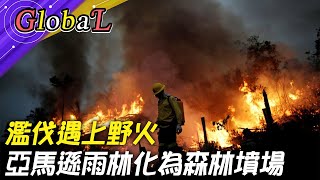 【Global】天災?人禍?濫伐遇上野火!巴西亞馬遜雨林化為森林墳場@全球大視野Global_Vision