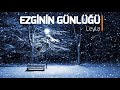 ezginin günlüğü leyla