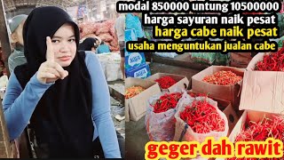 harga cabe malam ini geger#sayuran #usahamenjanjikan jualan cabe#19 jan 2025