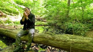 PADRE NUESTRO CANTADO (Los Sonidos del silencio)