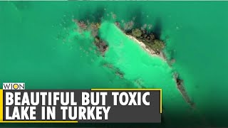 Why environmentalists want to destroy Turquoise lake in Turkey? | Yataghan | World News | WION