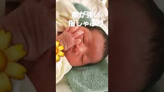 【生後３日目】癖が強い指しゃぶり👶