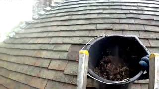 Bens Gutters - Gutter Clearing