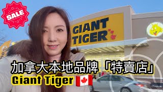 加拿大特賣店Giant Tiger！「幾抵」係抗通脹之選！包括食品、家品、玩具、時裝、小電器、廚房用品等！一齊支持本地品牌！【廣東話】 #多倫多生活