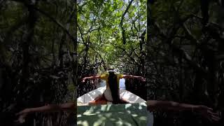 Madu River Boat Safari #boat_ride #boat #mangrove #srilanka # #water #river #travel_girl #longhair