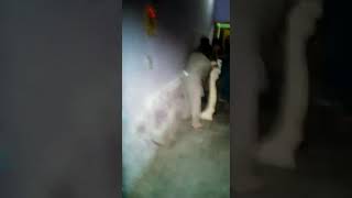 Mxtube.org :: Evy melaa sextape Mp4 3GP Video & Mp3 Download ...