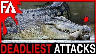 Deadliest Animal Attacks MARATHON! (Sharks, Bears, Crocodiles, Chimps)