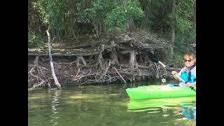 Kayaking on Skokie Lagoons