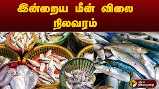 இன்றைய மீன் விலை நிலவரம் | FISH | PTT