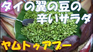 海外の屋台料理：ヤムトゥアプー/タイの四角豆のスパイシーサラダの作り方