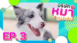 บริษัทหมา (ไม่จำกัด) : แฮร์รี่นักสับไก่ | Harry the Cooker [EP.3]