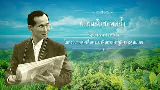 โครงการพระราชดำริ   โครงการฝายแม้วชะลอน้ำ