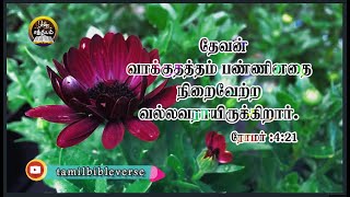 Tamil Bible | தேவன் வாக்குத்தத்தம் பண்ணினதை நிறைவேற்ற வல்லவராயிருக்கிறார் | Day - 48 |