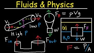Fluid Pressure, Density, Archimede & Pascal's Principle, Buoyant Force, Bernoulli's Equation Physics