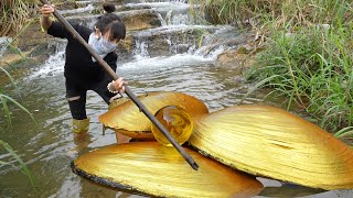 😱 Surprise in Wild Treasure Hunting: A Beautiful Girl Finds Unexpectedly Pearl from a River Clam